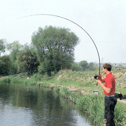 Meisterangler Tom Pickering