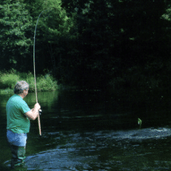 Angler Mal Storey zeigt sein können am Severn