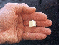 Käse als Angelköder