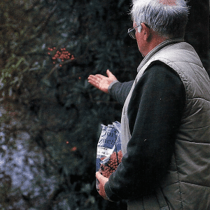 Angelmethoden mit Mini-Boilies, klein aber oho