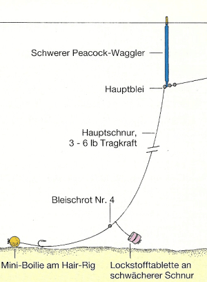 Angelmethoden mit Mini-Boilies, klein aber oho