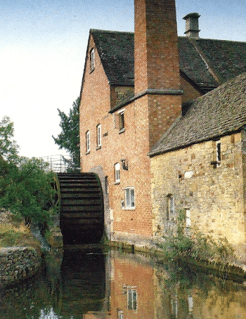 Angeln am Mühlteich, viele Fische und gute Angelbedingungen