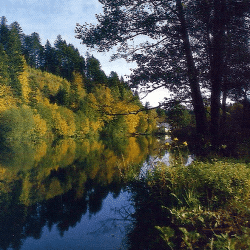 Angeln an der Ilz, abseits der Großstadthektik erholsame Angelstunden