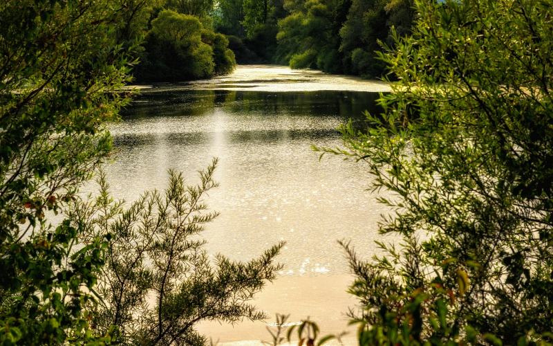 Angeln an der Isar. Dein Guide für Hecht, Karpfen u. Forelle