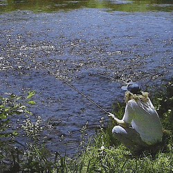 Angeln an der Zschopau in Sachsen, ein fischreiches Fließgewässer