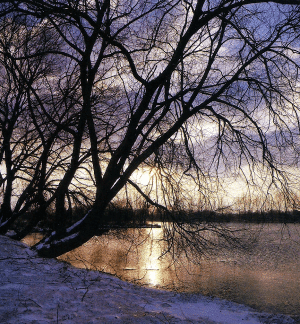 Angeln in Kiesgruben im Winter