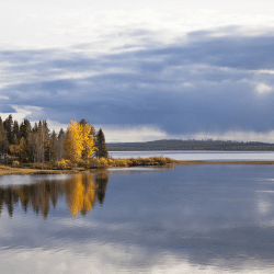 Angeln in Lappland nördlich vom Polarkreis