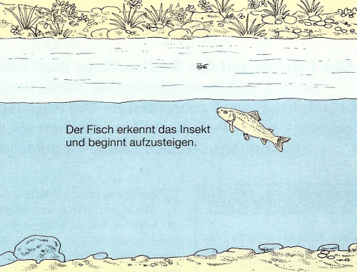 Angeln mit der Trockenfliege. Die Kunst des Fliegenfischens