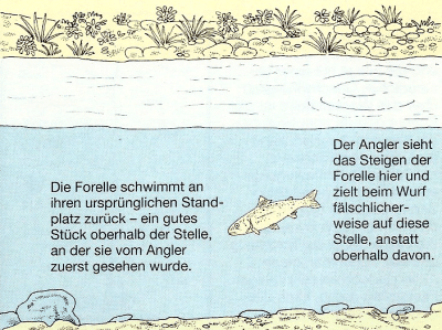 Angeln mit der Trockenfliege an Flüssen