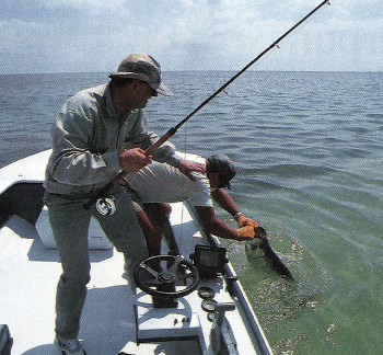 Angeln vor den Florida Keys, Duell mit dem Tarpun