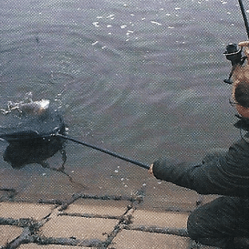Angler Dave Ladds - unverzagt am winterlichen Trent