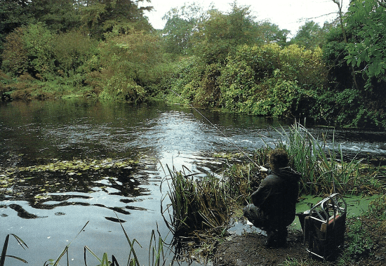 Angler John Bailey