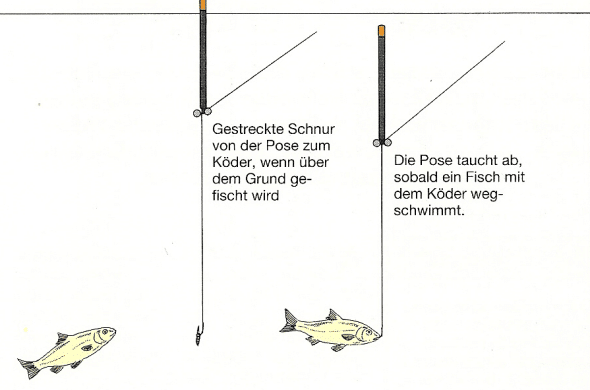 Beim Posenfischen Bisse erkennen und richtig deuten