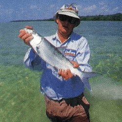 Bonefish, Grey Ghost, Schwarzspitzenhaie