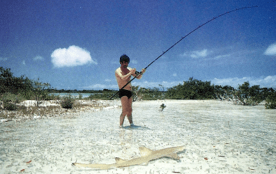 Bonefish 