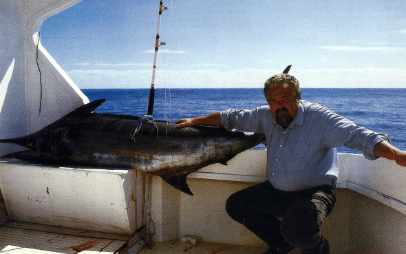 Der Marlin ein gigantischer Raubfisch, es gibt neun verschiedene Arten 