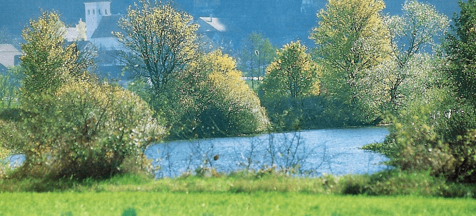 Die Altmühl ist der fischreichste Fluss Deutschlands