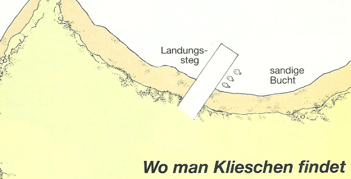 Die Kliesche findet man über sandigem Grund 20-40 m tief