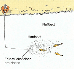 Fleischköder 