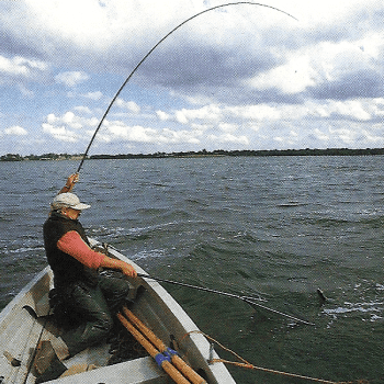 Fliegenfischen in Stauseen