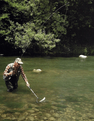 Fliegenschnüre für jeden Angler. Tipps, Tests & Empfehlungen