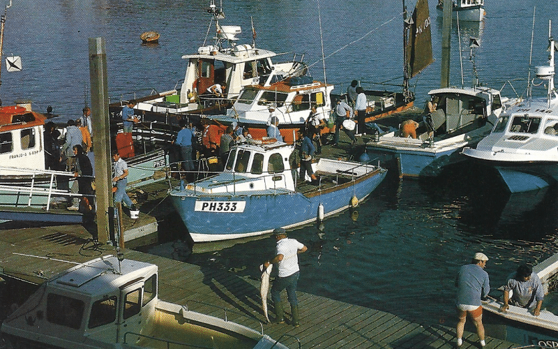 Ultimative Grundausrüstung für Bootsangler. Experten-Tipps