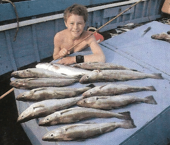 Ultimative Grundausrüstung für Bootsangler. Experten-Tipps