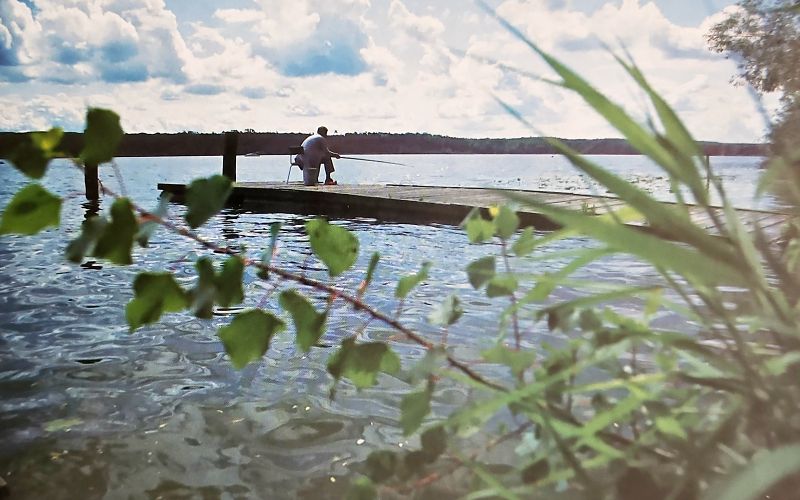 Havelseen. Top Spots, Fischarten, Angelkarten und Tipps 