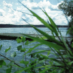 Havelseen, ein fischreiches Gewässersystem