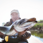 Hechtangeln: Tricks und Erfahrungen für passionierte Angler