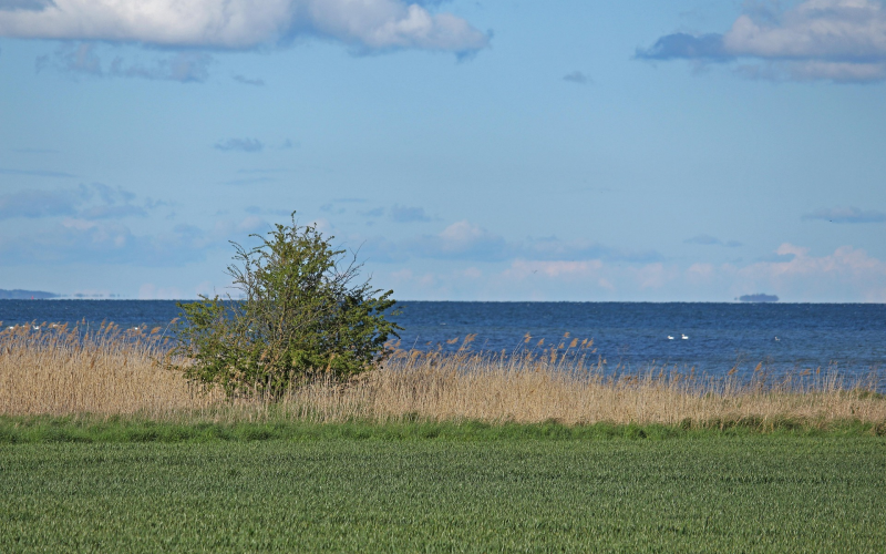 Jasmunder Bodden. Fischreichstes Revier für Hecht und Zander