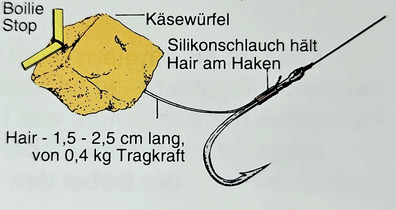 Käse als Angelköder. Unterschätzter Tipp für Großfische
