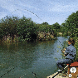 Karpfenruten zum Karpfenangeln in verschiedenen Variationen