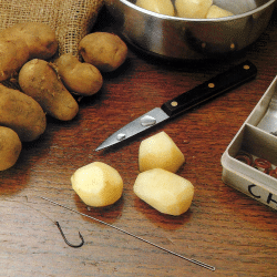 Kartoffeln als Angelköder, ein beliebter Karpfenköder