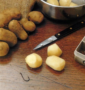 Kartoffeln als Angelköder, ein beliebter Karpfenköder
