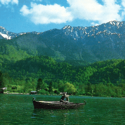 Kochelsee