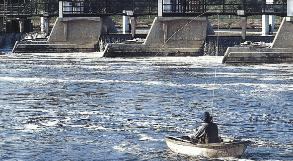 Lachs Angeln an der Themse am Stadtrand von London