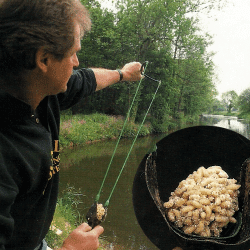 Madenkleber fachgerecht verwenden