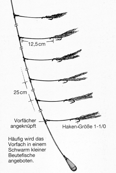 Makrelenfedern. Der ultimative Guide für mehr Makrelenfang
