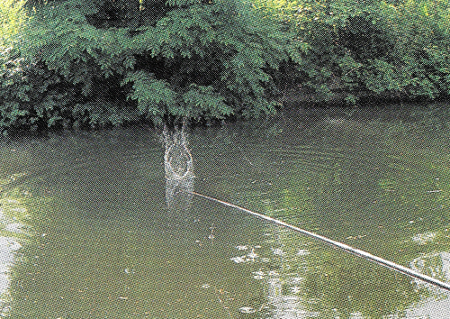 Mit der langen Stipprute. Die besten Tipps Tricks u Montagen 