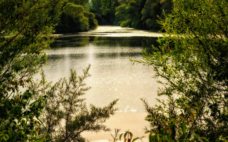 Mittellandkanal Niedersachsen Westfalen. Tipps für Top-Fänge