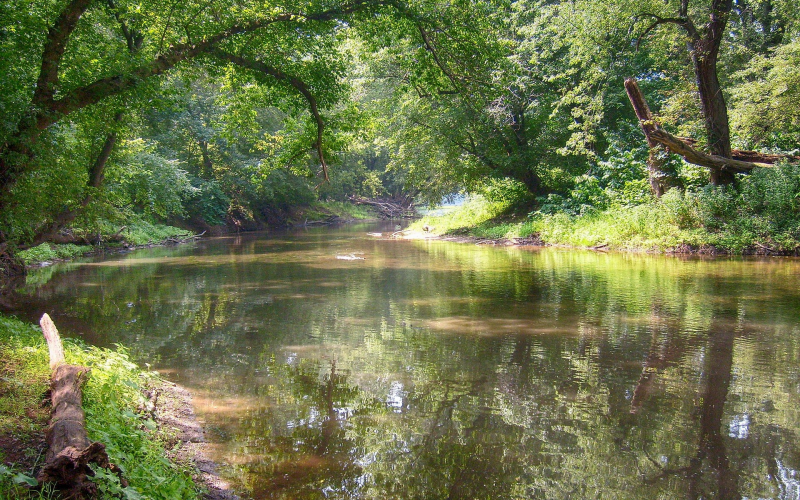 Mittellandkanal Niedersachsen Westfalen. Tipps für Top-Fänge