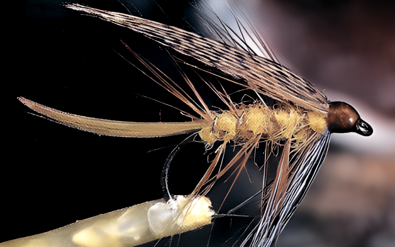 Naßfliegen und Nymphen. Ultimativer Guide zum Fliegenfischen