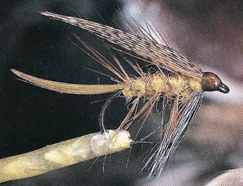 Naßfliegen und Nymphen, gute Fangaussichten zwischen Grund und Mittelwasser