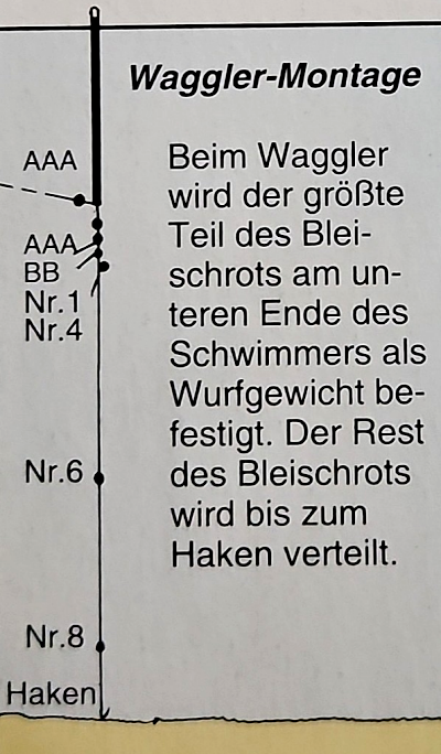 Die Posenausrüstung im Einsatz Experten Tipps für Einsteiger