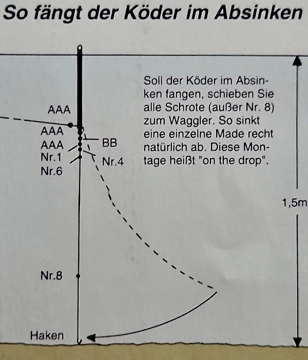 Die Posenausrüstung im Einsatz Experten Tipps für Einsteiger