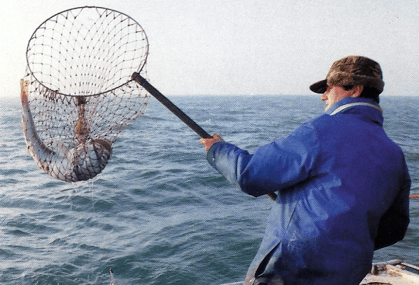 Riffe vor der Küste sind ausschließlich mit dem Boot erreichbar