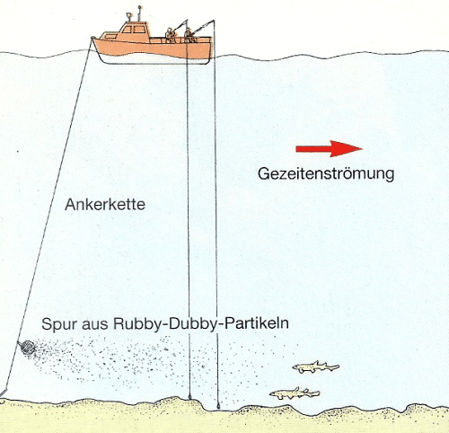 Rubby Dubby - Lockfutter für das Bootsangeln