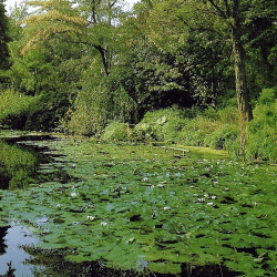 Seeuferzonen, Angeln, Frühjahr, Sommer