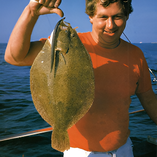 Fangen Sie mehr Fische. Silbrige Sandaale als Top-Köder